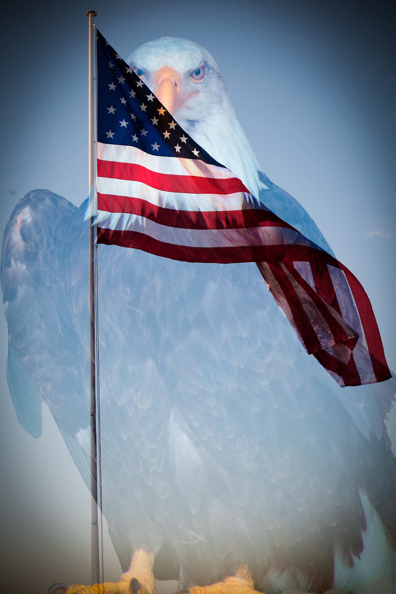 eagleflag2 eagleflag2